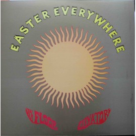 The 13th Floor Elevators ‎– Easter Everywhere (LP/ Vinyl)