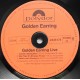 Golden Earring ‎– Live (2LP/ Vinyl)