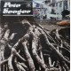 Pete Seeger – Pete Seeger (LP / Vinyl)